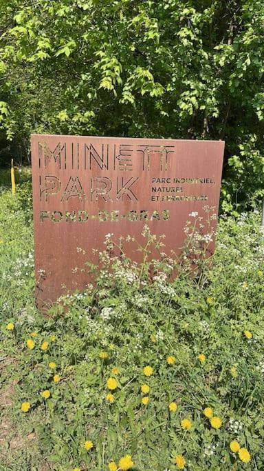 Studio Situe Aux Abords De La Foret Avec Parking Appartement Differdange Buitenkant foto